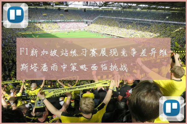F1新加坡站练习赛展现竞争差异维斯塔潘雨中策略面临挑战