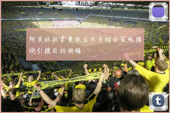 阿莫林执掌曼联后冬季转会策略揭晓引援目标明确